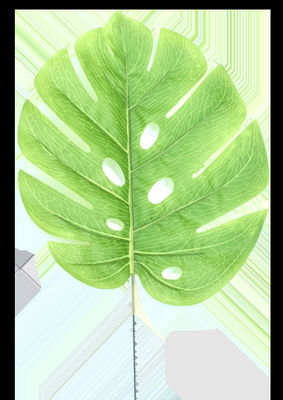 Des feuilles artificielles, fabriquées par l'homme, des feuilles fausses
